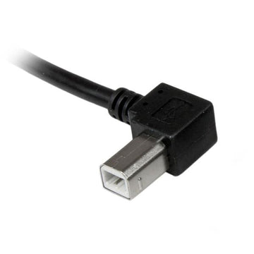 StarTech.com 2m USB 2.0 A - B câble USB USB A USB B Noir